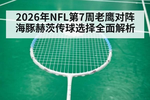 2026年NFL第7周老鹰对阵海豚赫茨传球选择全面解析